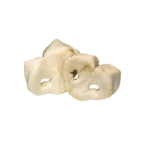 Noski wieprzowe białe 10 sztuk