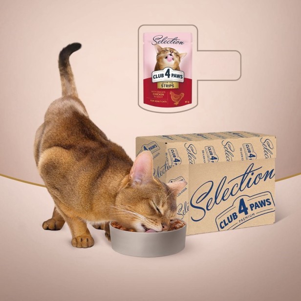 Mokra karma dla kotów z kurczakiem w sosie 85g CLUB 4 PAWS Premium Selection