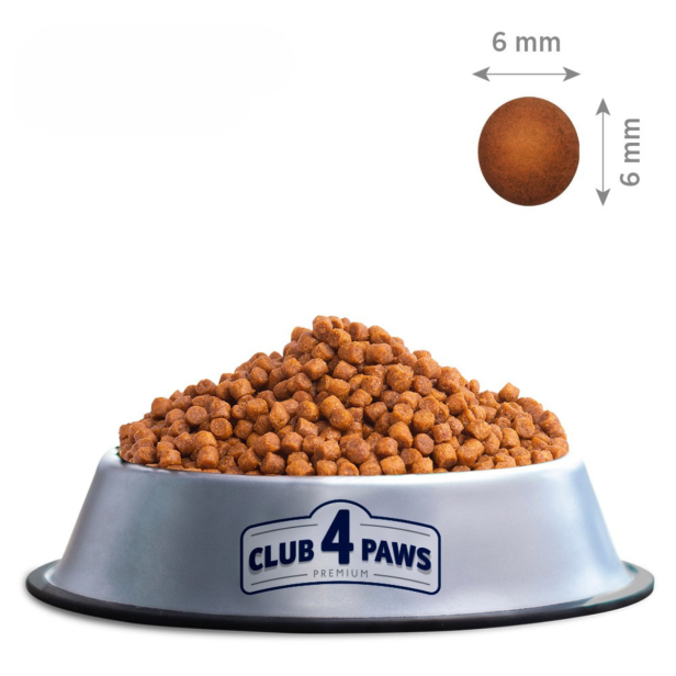 Sucha karma dla kociąt z kurczakiem 14 kg CLUB 4 PAWS Premium