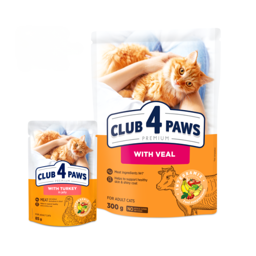 Mokra karma dla kotów z indykiem w galarecie 85g Club 4 Paws Premium