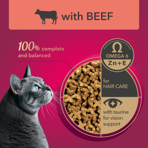 Sucha karma dla kotów dorosłych z wołowiną 900g My Love