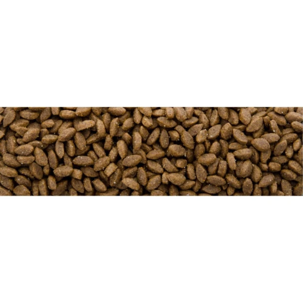 Sucha karma dla kota dorosłego Delicious Wild 2,5 kg Sam’s Field