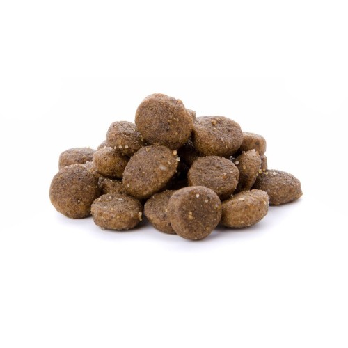 Sucha karma dla kota dorosłego z rybą 2,5 kg Adult Fish Sam’s Field