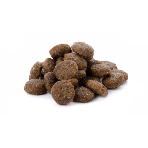 Sucha karma dla kota dorosłego z kurczakiem 7,5 kg Adult Chicken Sam’s Field Adult Chicken