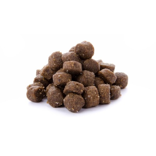 Sucha karma dla kociąt z kurczakiem 2,5 kg FIELD KITTEN Sam’s Field