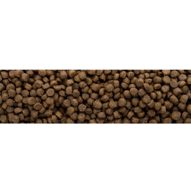 Sucha karma dla kociąt z kurczakiem 2,5 kg FIELD KITTEN Sam’s Field