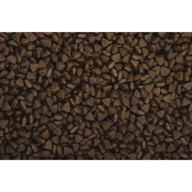 Sucha karma dla szczeniąt – jagnięcina Free Range 13 kg Low Grain Sam’s Field Puppy