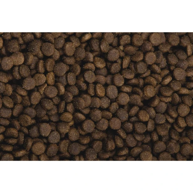 Sucha karma dla młodego psa dużej rasy jagnięcina Free Range 2,5 kg Low Grain Sam’s Field