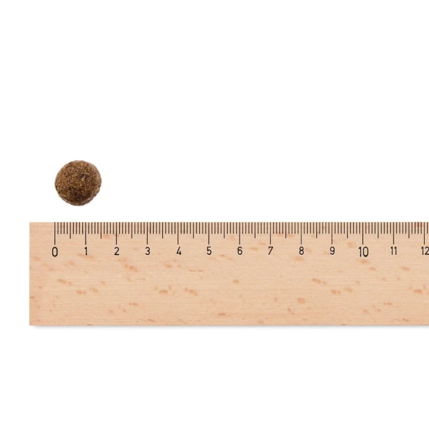 Sucha karma dla młodego psa dużej rasy jagnięcina Free Range 2,5 kg Low Grain Sam’s Field