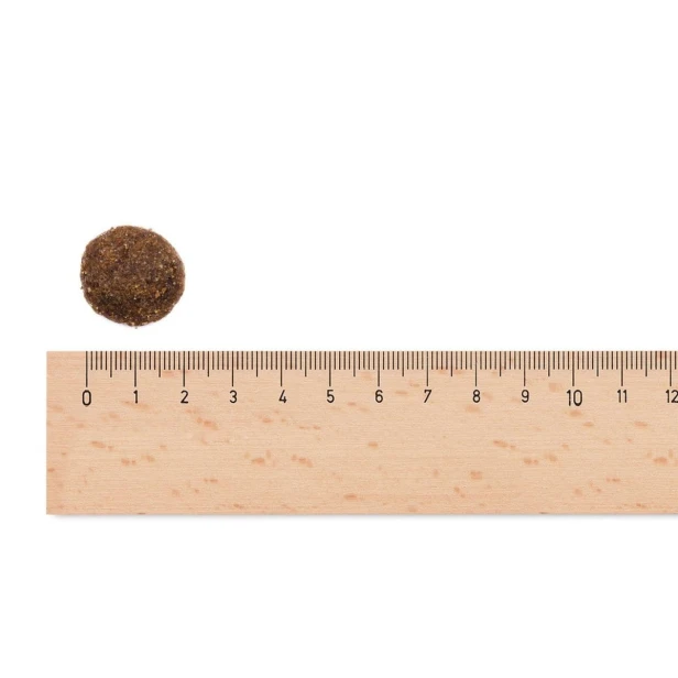 Sucha karma dla psa dorosłego dużych ras – jagnięcina z ryżem 2,5kg Low Grain Sam’s Field