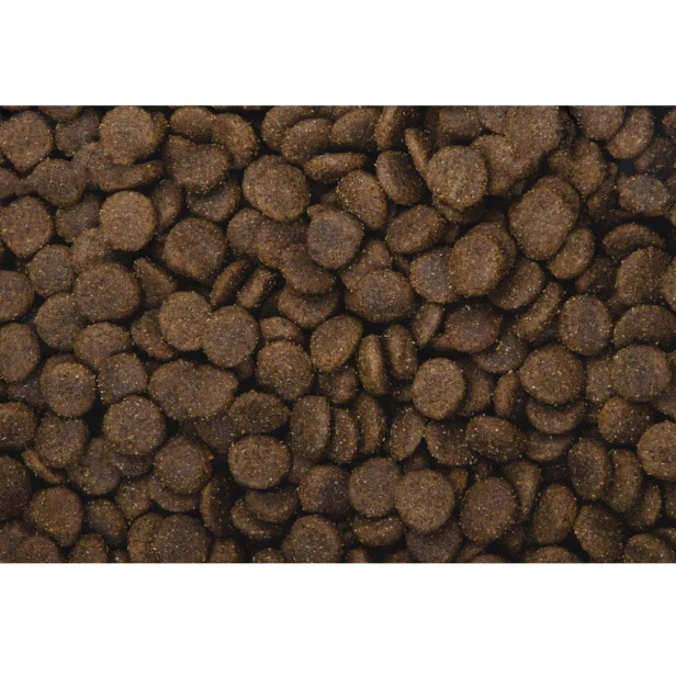 Sucha karma dla psa dorosłego dużych ras – jagnięcina z ryżem 2,5kg Low Grain Sam’s Field