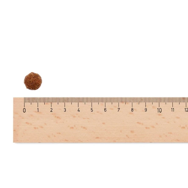 Sucha karma dla psa dorosłego średnich ras – kurczak i ziemniaki 2,5 kg Low Grain Sam’s Field