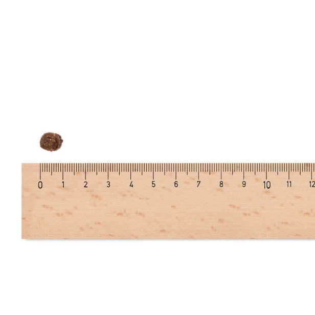 Sucha karma dla psa dorosłego małych ras – kurczak i ziemniaki 2,5 kg Low Grain Sam’s Field