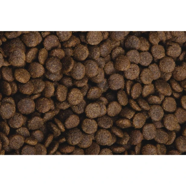 Sucha karma dla psa dorosłego średnich ras – wołowina i cielęcina 2,5 kg Gluten Free Sam’s Field