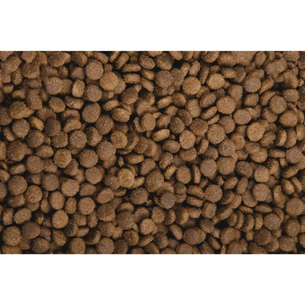 Sucha karma dla psa junior dużych ras – wołowina i cielęcina 2,5 kg Gluten Free Sam’s Field
