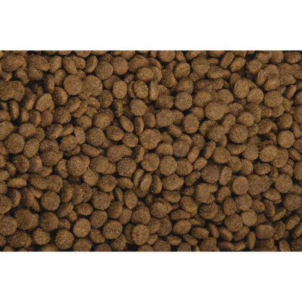 Sucha karma dla psa seniora – jagnięcina i ryż Light &amp; Senior 2,5 kg Low Grain Sam’s Field