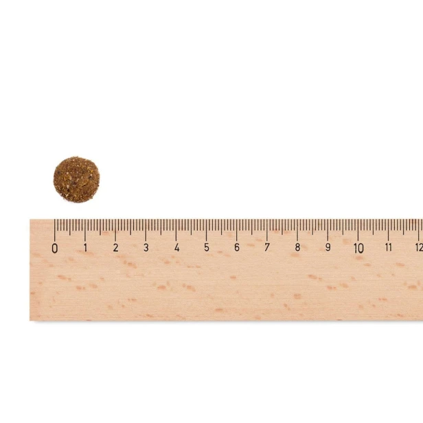 Sucha karma dla psa seniora – jagnięcina i ryż Light &amp; Senior 13 kg Low Grain Sam’s Field