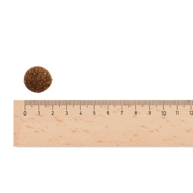 Sucha karma dla psa dorosłego dużych ras – wołowina i cielęcina 2,5 kg Gluten Free Sam’s Field