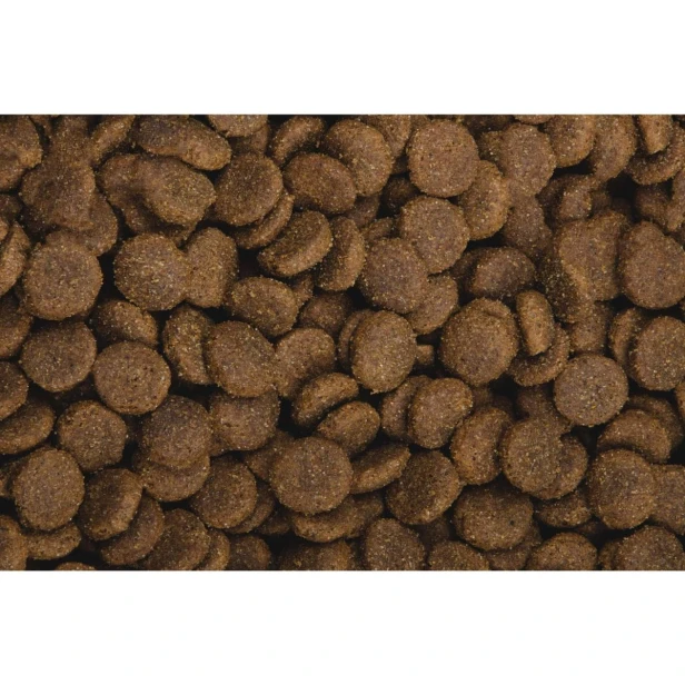 Sucha karma dla psa dorosłego dużych ras – wołowina i cielęcina 13 kg Gluten Free Sam’s Field