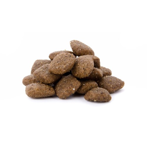 Sucha karma dla kota sterylizowanego z kurczakiem Sterelised 2,5 kg Sam’s Field