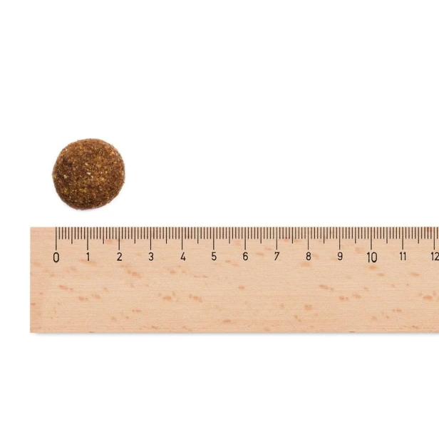 Sucha karma dla psa dorosłego dużych ras – kurczak i ziemniaki 2,5 kg Low Grain Sam’s Field