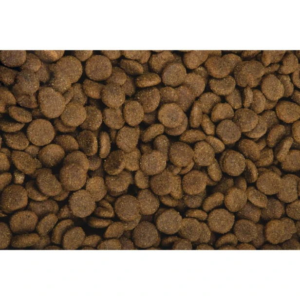 Sucha karma dla psa dorosłego dużych ras – kurczak i ziemniaki 13 kg Low Grain Sam’s Field