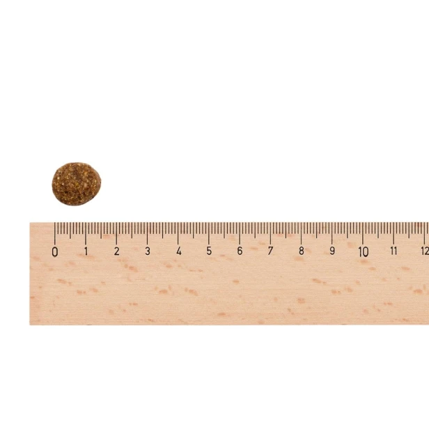 Sucha karma dla psa junior dużych ras – kurczak i ziemniaki 13 kg Low Grain Sam’s Field