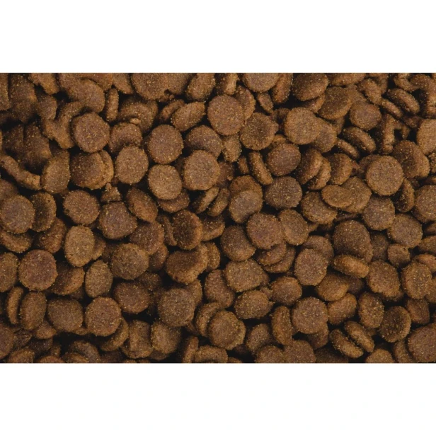 Sucha karma dla psa dorosłego dużych ras – gęś i indyk 13 kg Gluten Free Sam’s Field