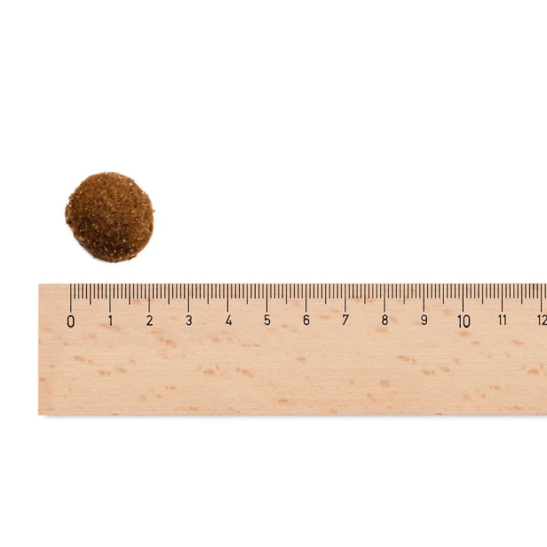 Sucha karma dla psa dorosłego dużych ras – gęś i indyk 2,5 kg Gluten Free Sam’s Field