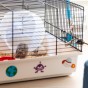 Klatka dla chomika Criceti 9 Space – kosmiczna przygoda i nauka opieki nad zwierzęciem