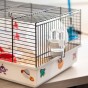 Klatka dla chomika Criceti 9 Space – kosmiczna przygoda i nauka opieki nad zwierzęciem