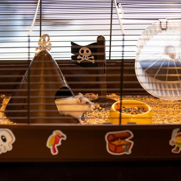 Klatka dla chomika Criceti 9 Pirates – piracka przygoda dla małego odkrywcy