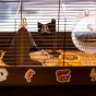 Klatka dla chomika Criceti 9 Pirates – piracka przygoda dla małego odkrywcy