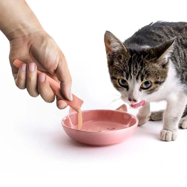 Kremowy przysmak dla kota JK Animals – łosoś 5 × 15 g