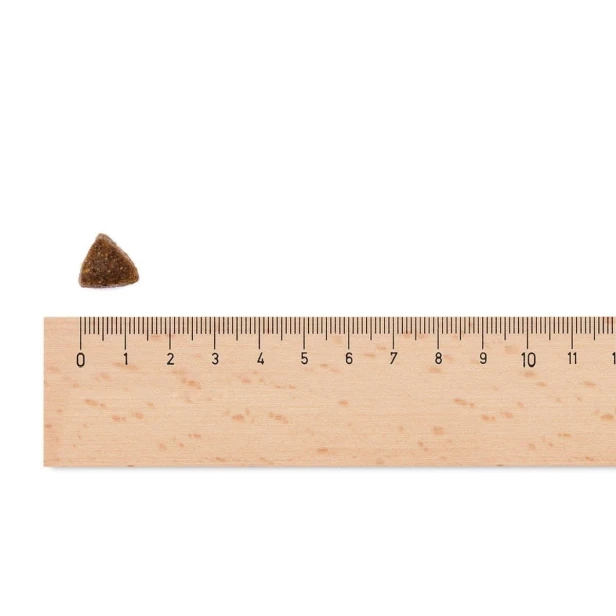 2344
