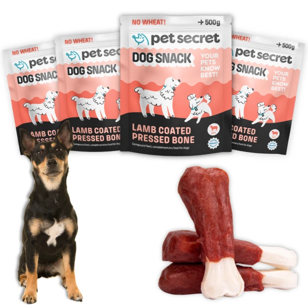PS01-0362  (2).png